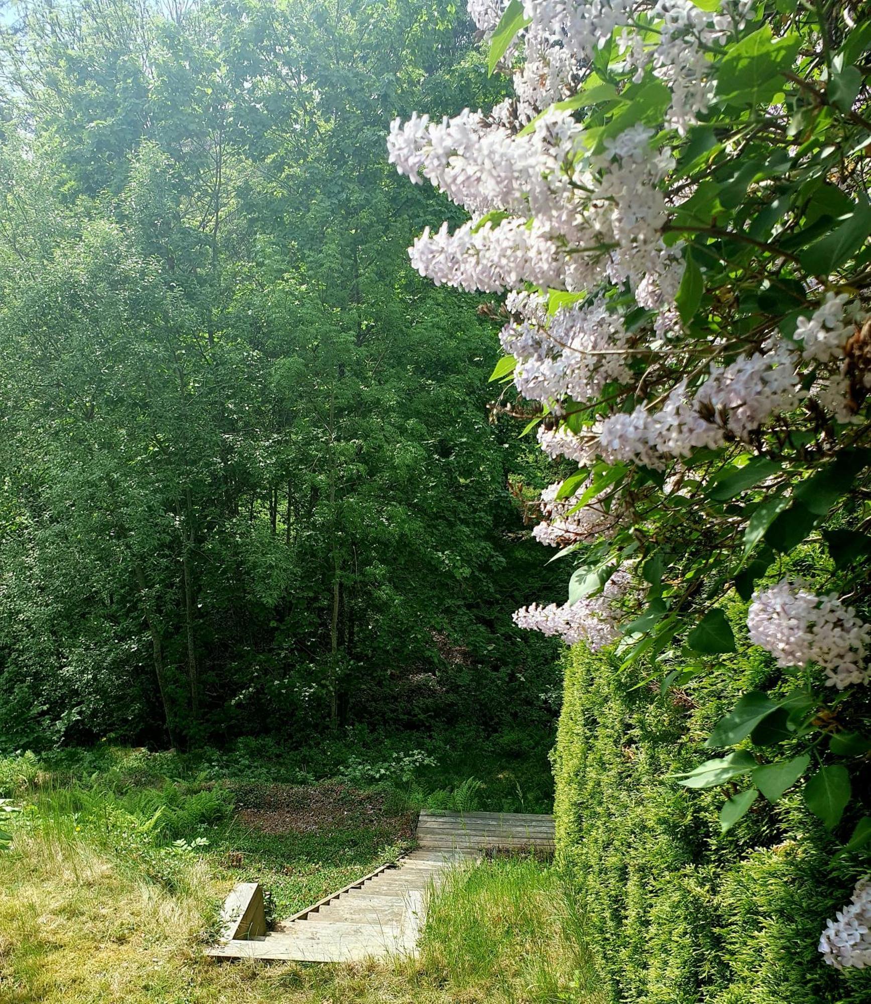 Tranquil In Picturesque Neighborhood Appartement